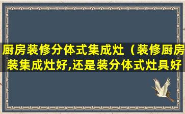 厨房装修分体式集成灶（装修厨房装集成灶好,还是装分体式灶具好）