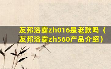 友邦浴霸zh016是老款吗（友邦浴霸zh560产品介绍）