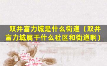 双井富力城是什么街道（双井富力城属于什么社区和街道啊）