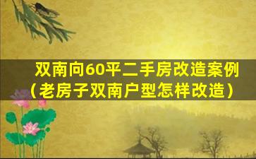 双南向60平二手房改造案例（老房子双南户型怎样改造）