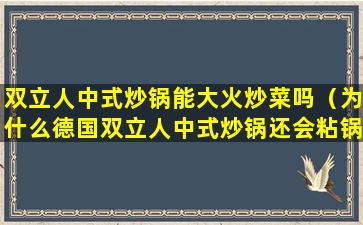 双立人中式炒锅能大火炒菜吗（为什么德国双立人中式炒锅还会粘锅）