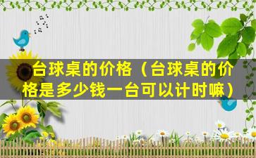 台球桌的价格（台球桌的价格是多少钱一台可以计时嘛）