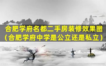 合肥学府名都二手房装修效果图（合肥学府中学是公立还是私立）