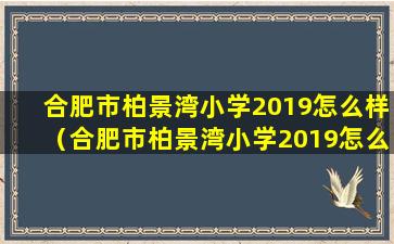 合肥市柏景湾小学2019怎么样（合肥市柏景湾小学2019怎么样报名）