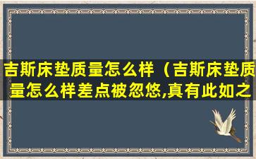 吉斯床垫质量怎么样（吉斯床垫质量怎么样差点被忽悠,真有此如之差吗）