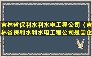 吉林省保利水利水电工程公司（吉林省保利水利水电工程公司是国企吗）