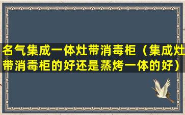 名气集成一体灶带消毒柜（集成灶带消毒柜的好还是蒸烤一体的好）