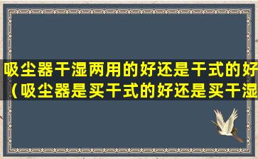 吸尘器干湿两用的好还是干式的好（吸尘器是买干式的好还是买干湿两用的好）