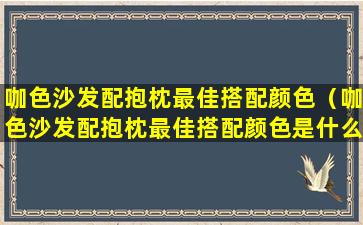 咖色沙发配抱枕最佳搭配颜色（咖色沙发配抱枕最佳搭配颜色是什么）