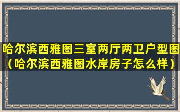 哈尔滨西雅图三室两厅两卫户型图（哈尔滨西雅图水岸房子怎么样）