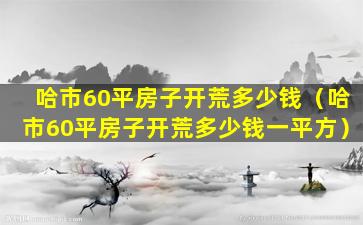 哈市60平房子开荒多少钱（哈市60平房子开荒多少钱一平方）