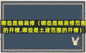 哪些是精装修（哪些是精装修范围的开槽,哪些是土建范围的开槽）