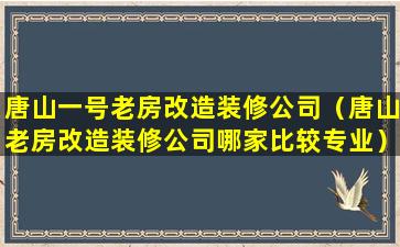 唐山一号老房改造装修公司（唐山老房改造装修公司哪家比较专业）