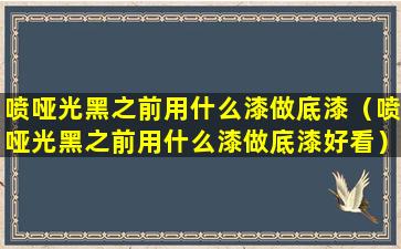 喷哑光黑之前用什么漆做底漆（喷哑光黑之前用什么漆做底漆好看）