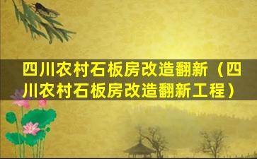 四川农村石板房改造翻新（四川农村石板房改造翻新工程）