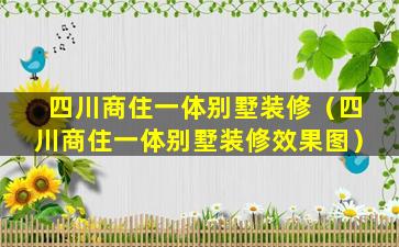 四川商住一体别墅装修（四川商住一体别墅装修效果图）