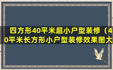 四方形40平米超小户型装修（40平米长方形小户型装修效果图大全）