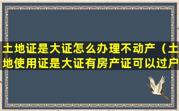 土地证是大证怎么办理不动产（土地使用证是大证有房产证可以过户吗）