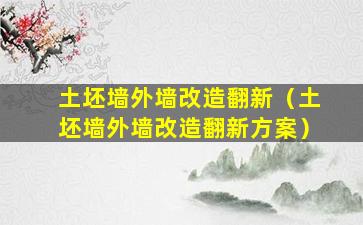 土坯墙外墙改造翻新（土坯墙外墙改造翻新方案）