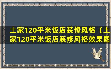 土家120平米饭店装修风格（土家120平米饭店装修风格效果图）