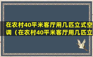 在农村40平米客厅用几匹立式空调（在农村40平米客厅用几匹立式空调合适）