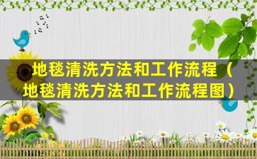 地毯清洗方法和工作流程（地毯清洗方法和工作流程图）