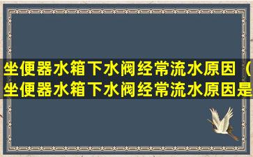 坐便器水箱下水阀经常流水原因（坐便器水箱下水阀经常流水原因是什么）