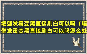 墙壁发霉变黑直接刷白可以吗（墙壁发霉变黑直接刷白可以吗怎么处理）