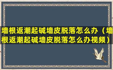 墙根返潮起碱墙皮脱落怎么办（墙根返潮起碱墙皮脱落怎么办视频）