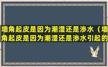 墙角起皮是因为潮湿还是渗水（墙角起皮是因为潮湿还是渗水引起的）