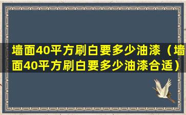 墙面40平方刷白要多少油漆（墙面40平方刷白要多少油漆合适）