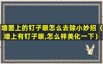 墙面上的钉子眼怎么去除小妙招（墙上有钉子眼,怎么样美化一下）