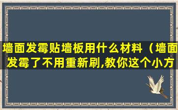 墙面发霉贴墙板用什么材料（墙面发霉了不用重新刷,教你这个小方法,去除墙面霉斑）