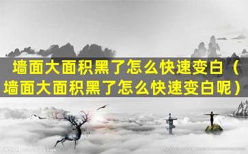 墙面大面积黑了怎么快速变白（墙面大面积黑了怎么快速变白呢）