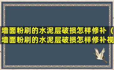 墙面粉刷的水泥层破损怎样修补（墙面粉刷的水泥层破损怎样修补视频）