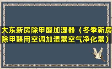 大东新房除甲醛加湿器（冬季新房除甲醛用空调加湿器空气净化器）