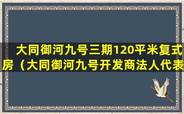 大同御河九号三期120平米复式房（大同御河九号开发商法人代表）