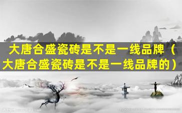 大唐合盛瓷砖是不是一线品牌（大唐合盛瓷砖是不是一线品牌的）