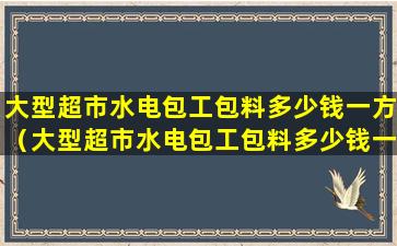 大型超市水电包工包料多少钱一方（大型超市水电包工包料多少钱一方啊）