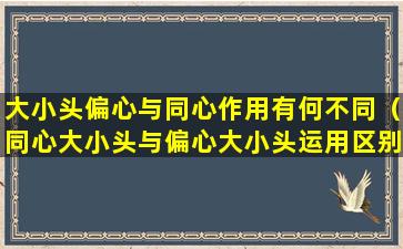 大小头偏心与同心作用有何不同（同心大小头与偏心大小头运用区别）