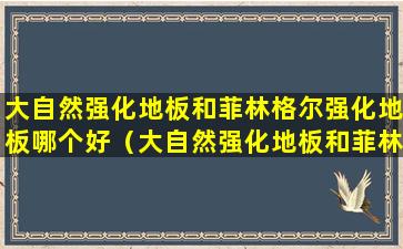 大自然强化地板和菲林格尔强化地板哪个好（大自然强化地板和菲林格尔强化地板哪个好一点）