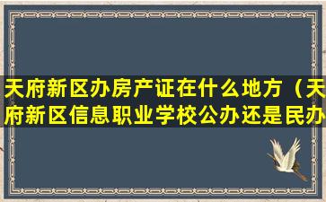 天府新区办房产证在什么地方（天府新区信息职业学校公办还是民办）