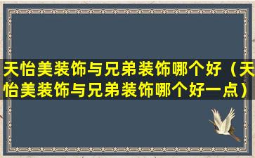 天怡美装饰与兄弟装饰哪个好（天怡美装饰与兄弟装饰哪个好一点）