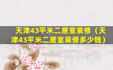 天津43平米二居室装修（天津43平米二居室装修多少钱）