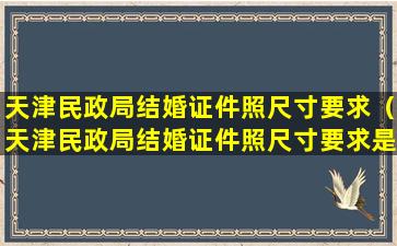 天津民政局结婚证件照尺寸要求（天津民政局结婚证件照尺寸要求是多少）