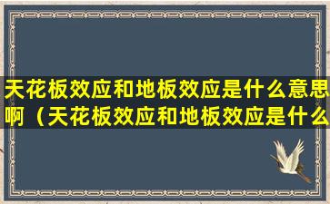 天花板效应和地板效应是什么意思啊（天花板效应和地板效应是什么意思啊视频）