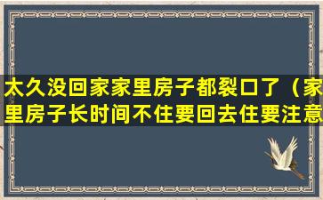 太久没回家家里房子都裂口了（家里房子长时间不住要回去住要注意什么）