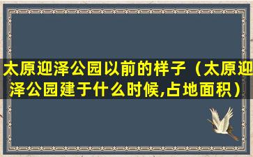 太原迎泽公园以前的样子（太原迎泽公园建于什么时候,占地面积）