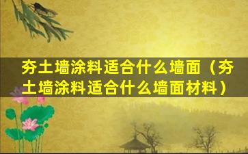 夯土墙涂料适合什么墙面（夯土墙涂料适合什么墙面材料）