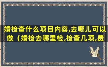 婚检查什么项目内容,去哪儿可以做（婚检去哪里检,检查几项,费用多少）